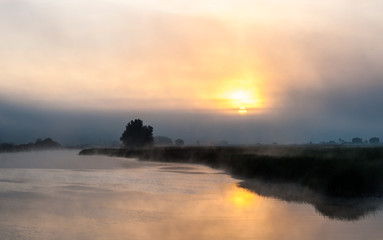 Summer fog on the river