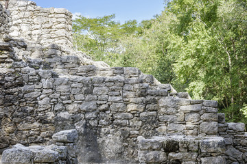 Fototapeta na wymiar ancient Mayan stone wall in Coba Ruins, Mexico