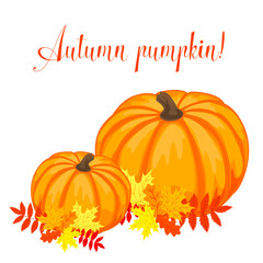 Hello, Autumn. Beautiful ripe pumpkin on a white background