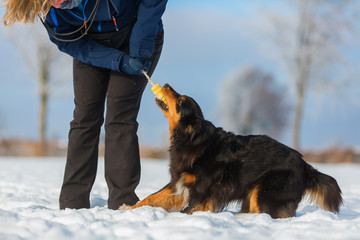 woman plays with a dog in the snow