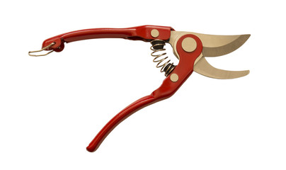 Garden scissors on white background