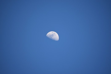 Moon