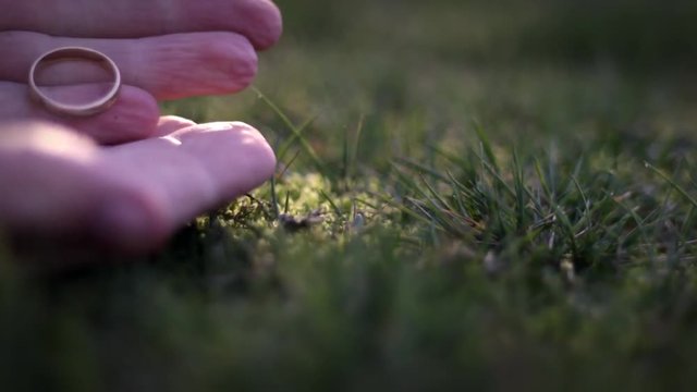 Fantasy film concept - A strange man snatches a golden ring from the grass