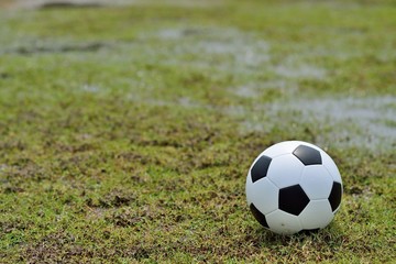 soccer field and the bright lights