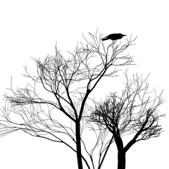 Graphic trees with a crow