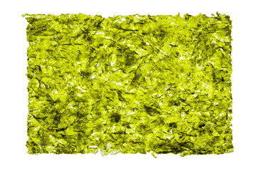 Backlighted Japanese or Chinese dried seaweed nori sheet isolated on white background. Asian food.