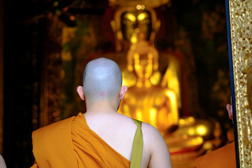 Obraz premium New young monk at Wat Bowonniwet Vihara temple
