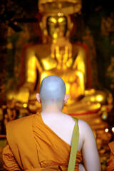 Fototapeta premium New young monk at Wat Bowonniwet Vihara temple