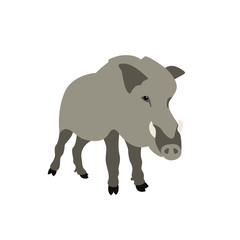 Wild boar vector illustration style Flat