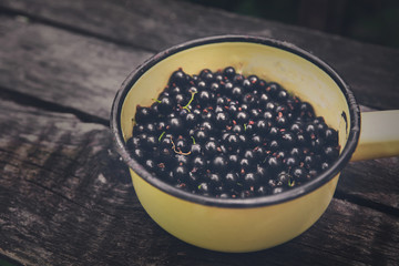 Black currants pot closeup on rustic wood background