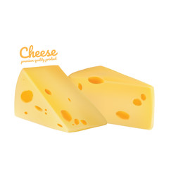 Cheese types vector. Modern style realistic vector illustration.