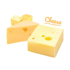 Cheese collection set, Cheese types vector, Modern style realistic vector illustration