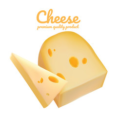 Cheese vector illustration. Realistic cheese types. Cheese isolated on white background.