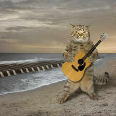 The cat with a guitar is on a deserted beach. The sea waves look like piano keys.