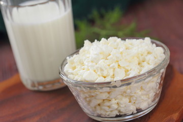 Cottage cheese in a bowl