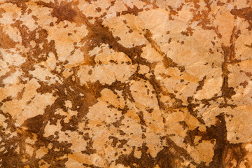 texture of vintage paper