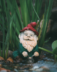 Garden Gnome In Tall Grass