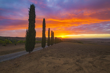 Fiery sunset in the Tuscan vineyard