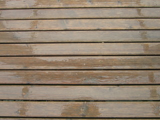 wet wood,texture,background 