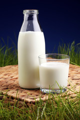 fresh milk in glass jug and glass on fresh green grass