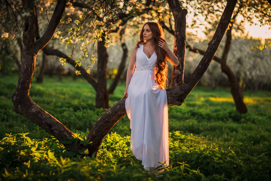 Beautiful bride with long hair sitting on a tree. At sunset in the spring.