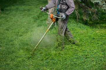 Workers mow the grass