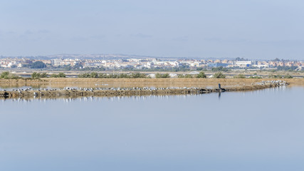 Odiel marshes in Huelva
