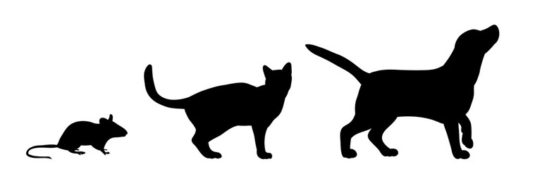 silhouette dog cats and mice