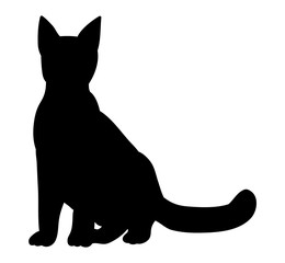 vector, silhouette cat sitting