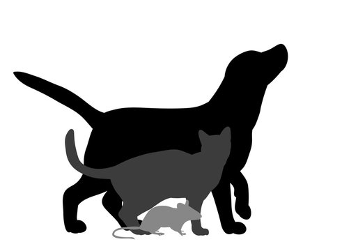 Illustration, vector, silhouette dog cats and mice