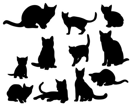 Illustration, vector, silhouette of the cats set