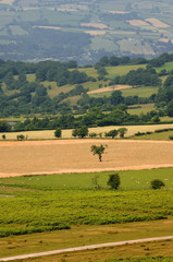 black mountains brecon beacons national park wales uk