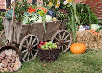 Erntedankfest oder Herbstmarkt - Alter Leiterwagen mit Gemüse dekoriert - 143755372