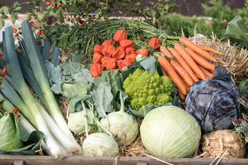Herbstliche Impression mit frischgeerntetem Gem&uuml;se