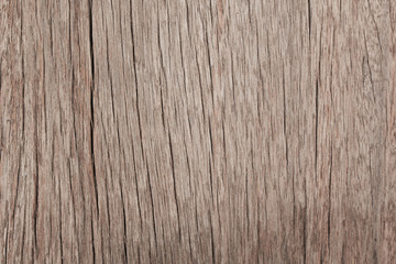 Texture of wood background