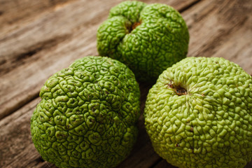 Osage Orange Apple Maclura Exotic Tropical Fresh Fruit Natural Decoration Alternative Medicine Pharmacology Concept
