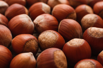 Brown background of hazelnuts close-up. Macro picture of pile of filbert nuts, bright autumn background. Harvest, fall, food ingredient concept