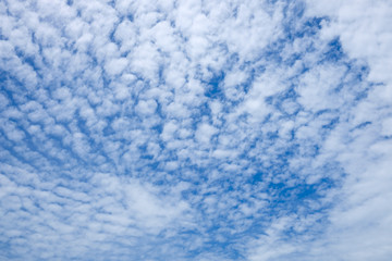 Fototapeta na wymiar Cirrostratus cloud and blue sky in sunny day.