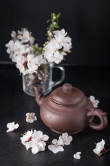 Obraz na płótnie Canvas Chinese teapot and flowers apricots