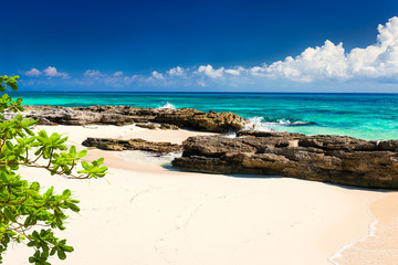 Paradise nature, sand, sea water, rocks, green leaves and summer on the tropical beach.  Photo from...