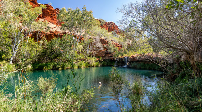 Green pond in Karijini national park, Western Australia