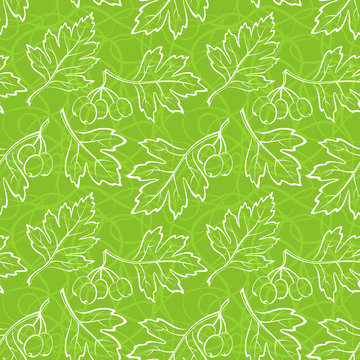 Seamless Background With Pictogram White Leaves Of Hawthorn Tree, Tile Green Nature Pattern. Vector