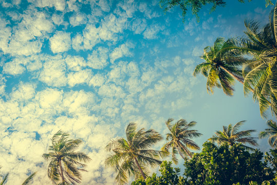 Coconut palm trees and limestone rocks at sunny day at blue sky with clouds. Beautifull sea sunset nature background. Travel concept. Photo from Railay Beach, Krabi, Thailand. Vintage filter.