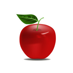 Apple Vector
