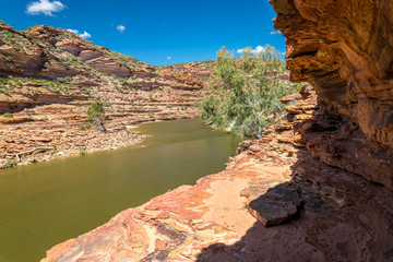 Fototapeta na wymiar Murchison River in Kalarri national park, Western Australia