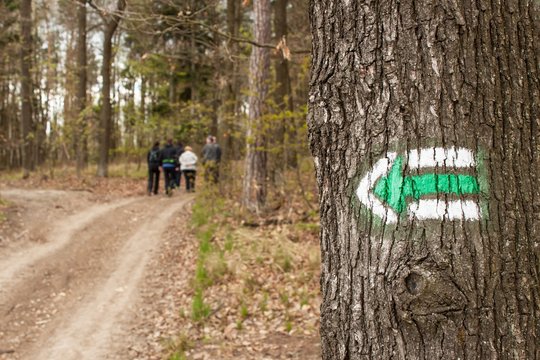 Tourist signs in the Czech Republic. Marking trails in the woods. Family trip.