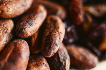 healthy food, cocoa beans