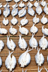  lots of fish salted and dry preparation for the market