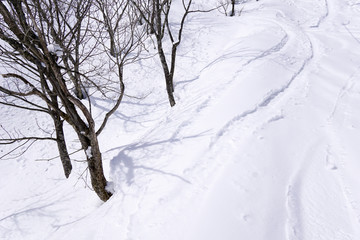 スキー場