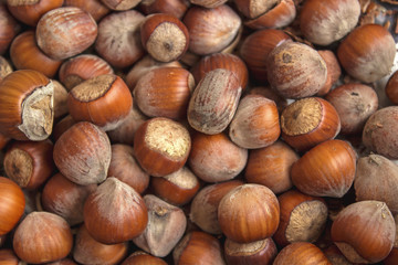 A pile of hazelnuts